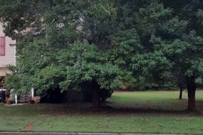 J&O Tree Service's Other Services