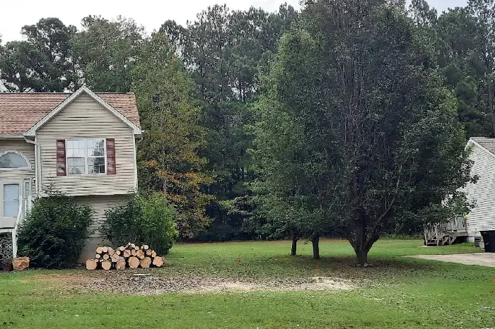 Tree Removal Service