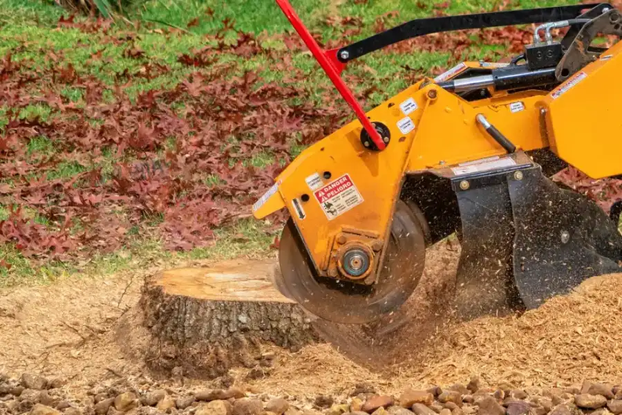 Excellent Tree Stump Grinding Carrollton, GA Excellent Tree Stump Grinding Carrollton, GA