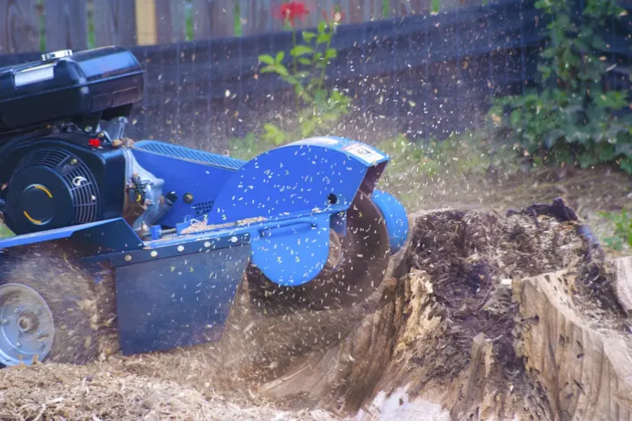 Quality Tree Stump Grinding Carrollton, GA Quality Tree Stump Grinding Carrollton, GA